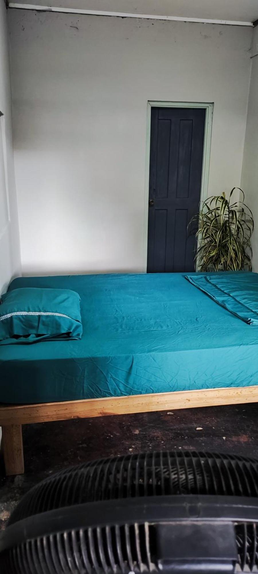 Bambu Lounge Bocas Hostel Bocas Town Kültér fotó